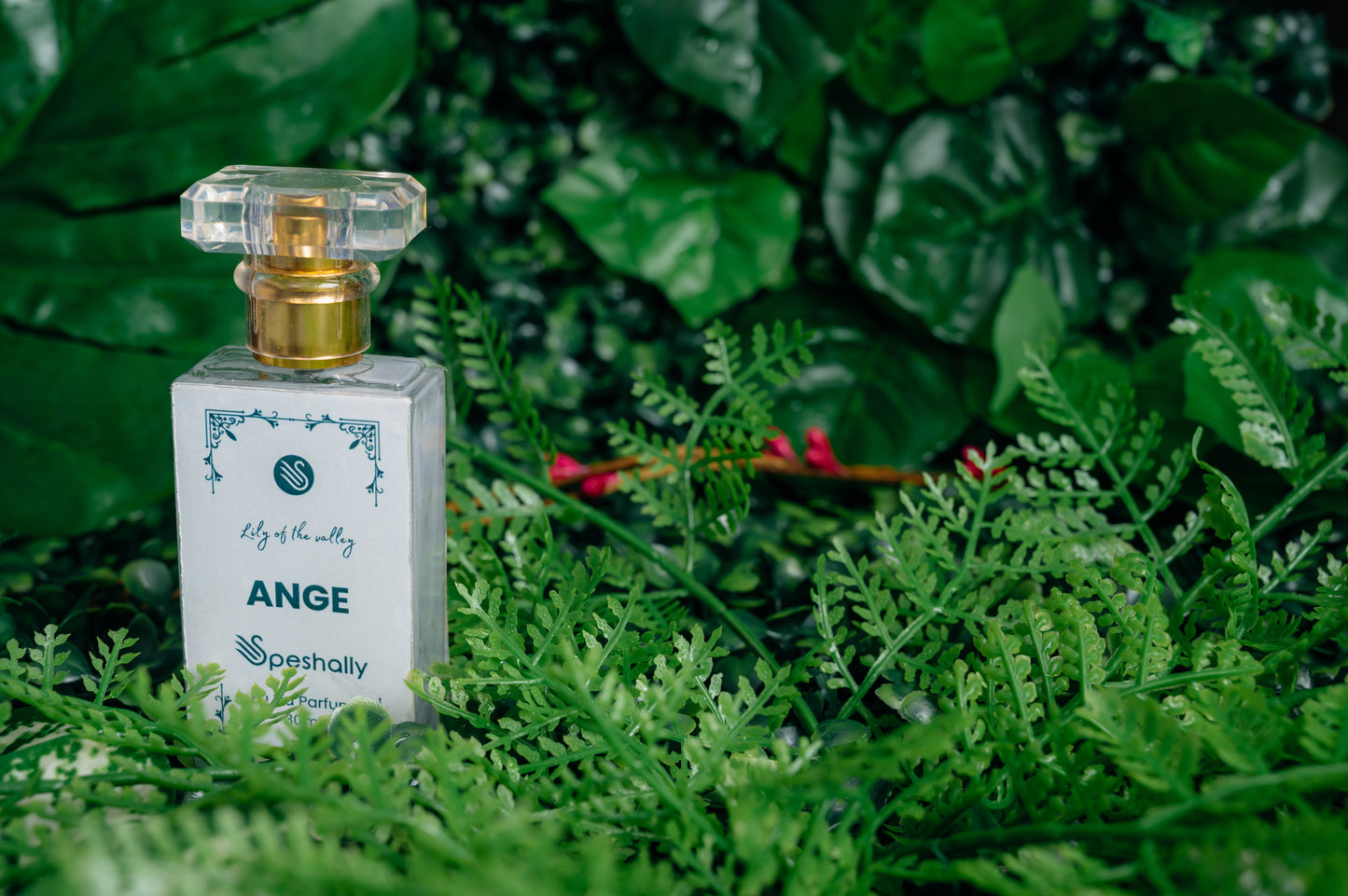 ‘Sunset’ Ange